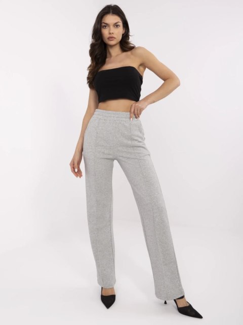 Spodnie dresowe NM-DR-R62112.00 szary