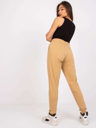 Spodnie dresowe TW-DR-1033.16P camelowy L