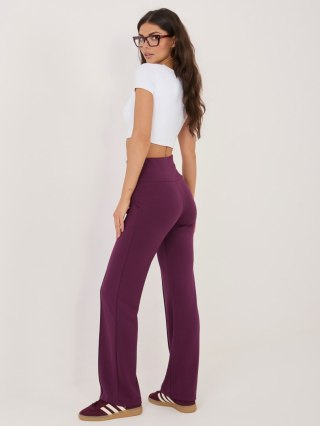 Spodnie dresowe RV-DR-A1289.01 ciemny fioletowy L/XL