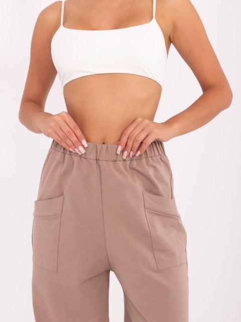Spodnie dresowe RV-DR-9719-1.22 ciemny bezowy S/M
